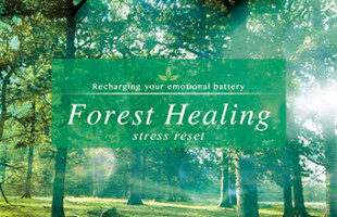 forest_healing